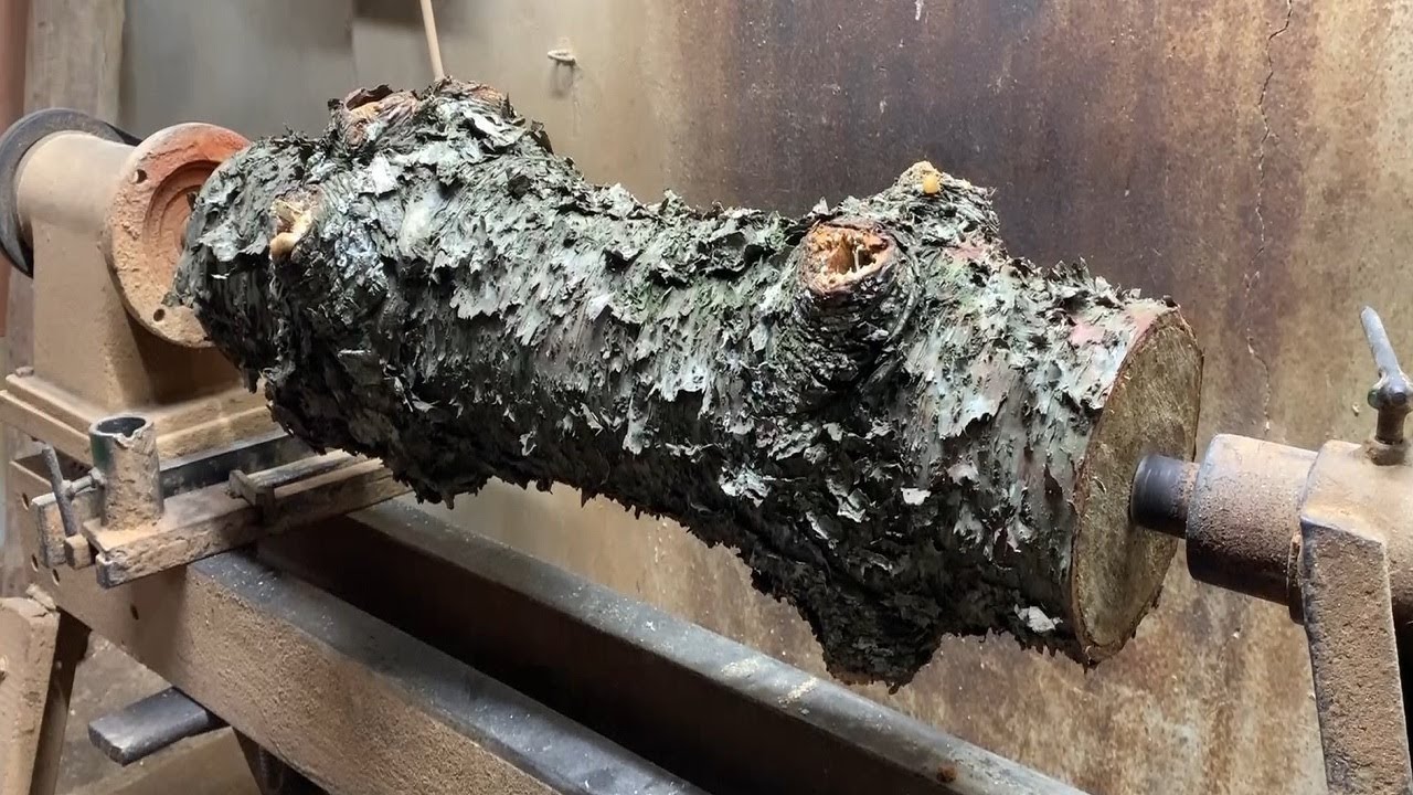 @How to Turn a Rustic Log into a Christmas Tree on a Lathe