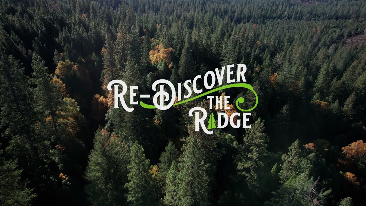 Skyway in the Fall: Drive the Paradise Ridge │ Explore Butte County