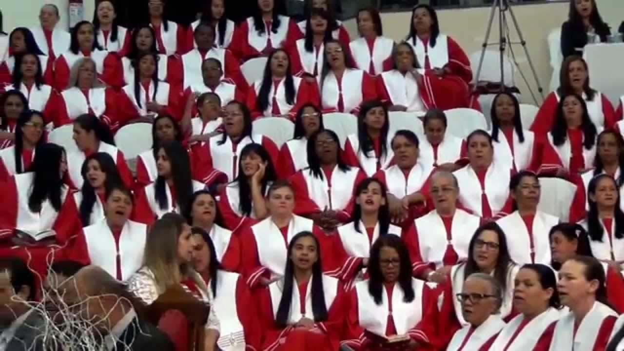 HC 296 - No Jardim
