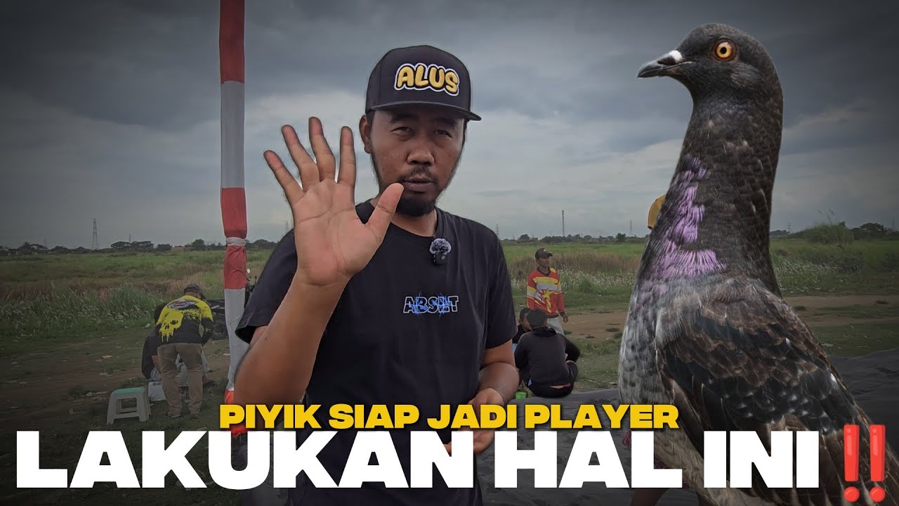 LAKUKAN HAL INI MERPATIKU CEPAT JADI PLAYER