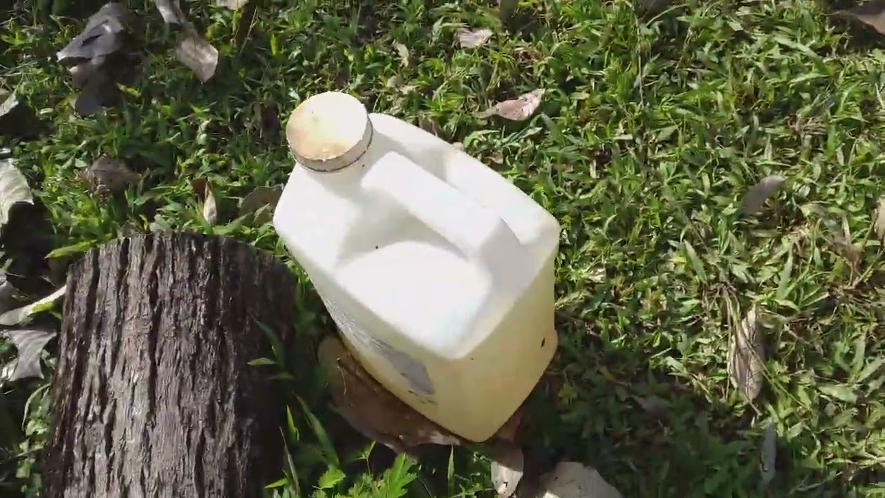AJO Y TABACO REMEDIO CASERO PARA AULLENTAR  LA SERPIENTE.