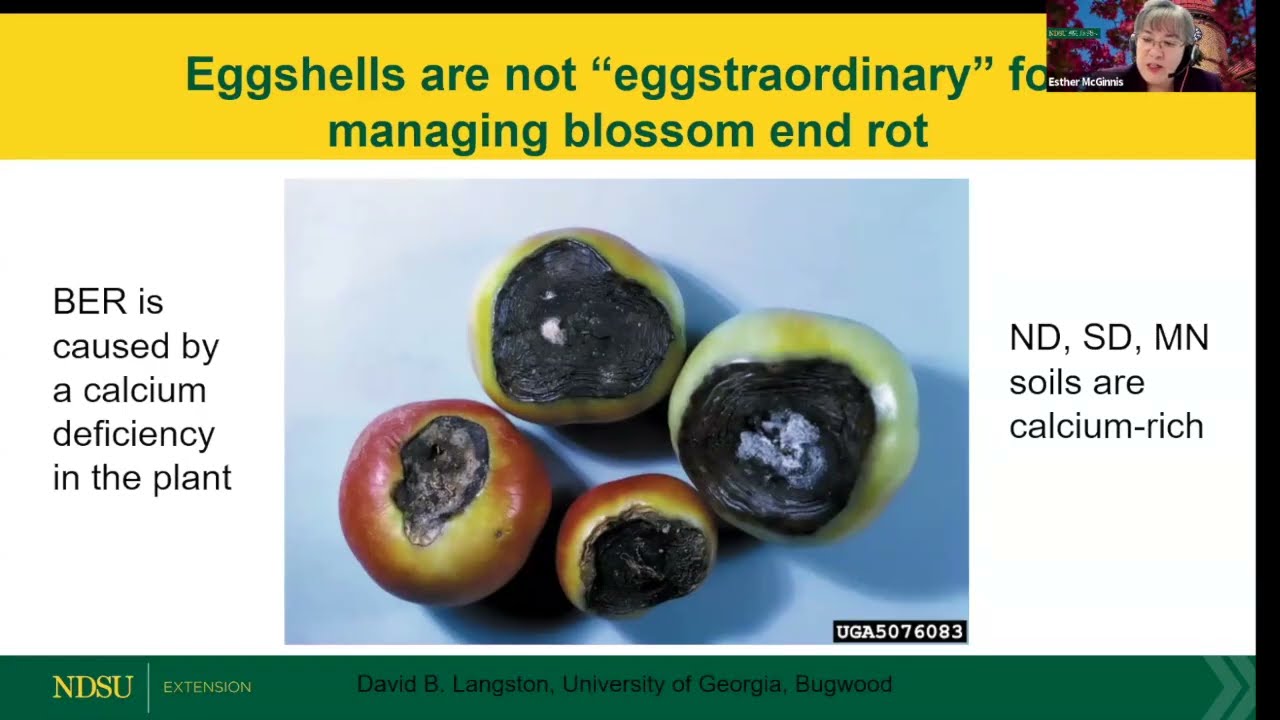 Debunking Common Vegetable Gardening Myths  - NDSU Extension Field to Fork
