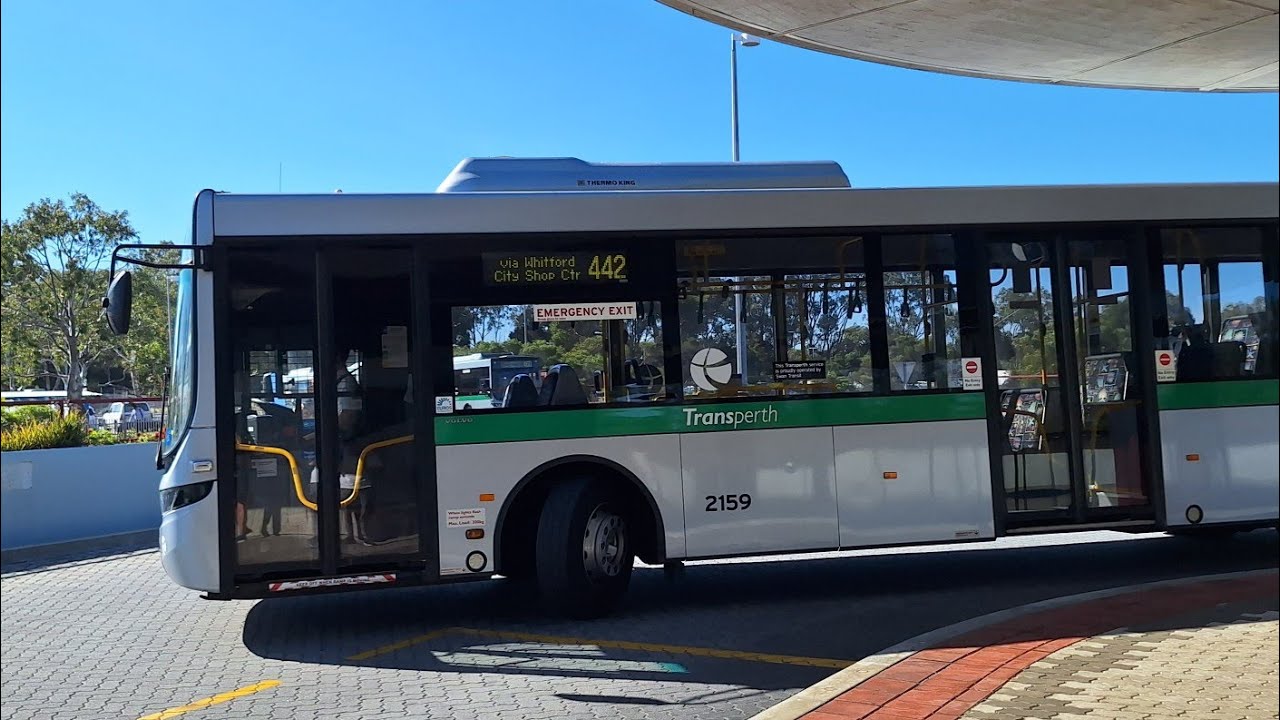[Many Choices] Transperth Bus Route No. 442 (TP2159) Whitfords Station to Warwick Station