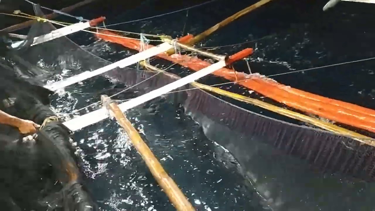 bicol basnig fishing
