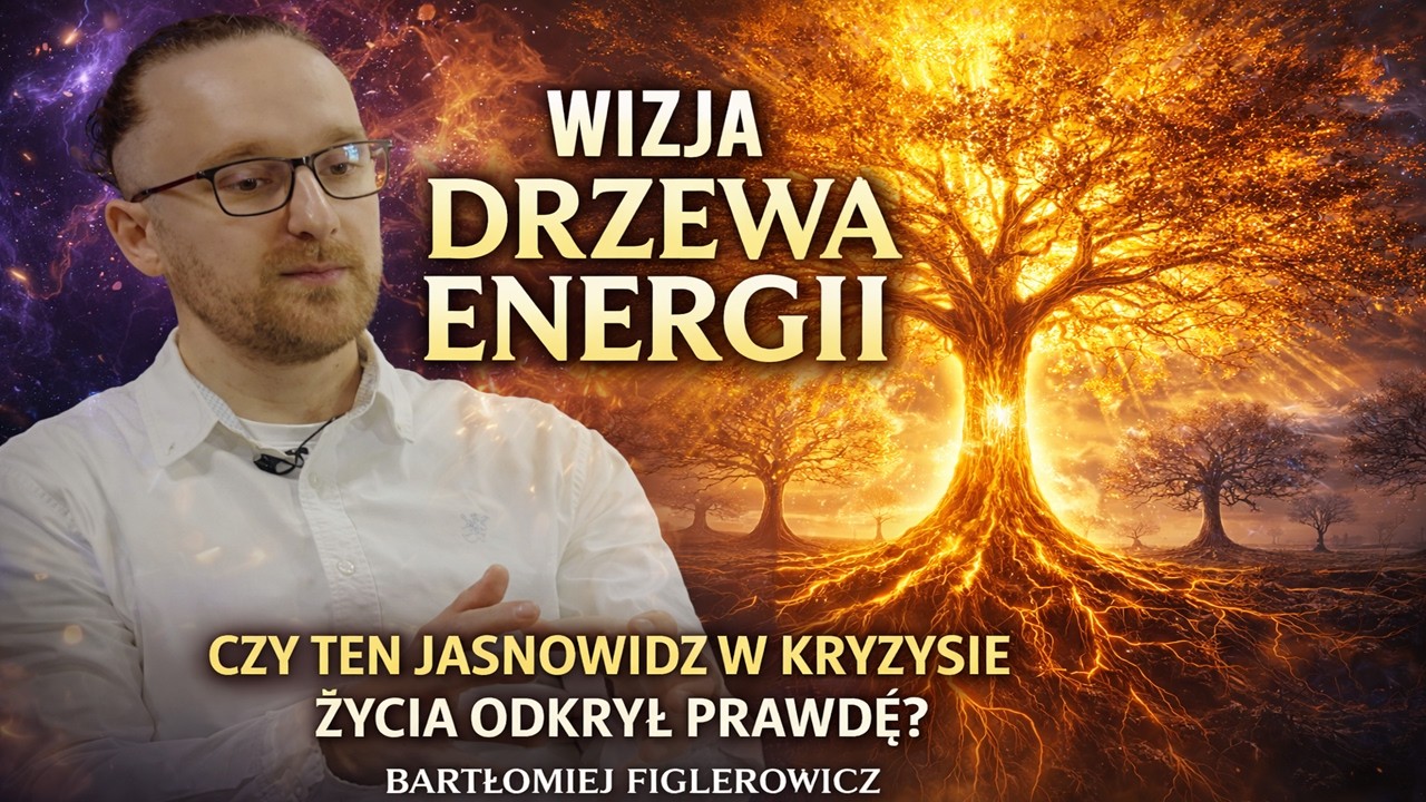 Wizja 