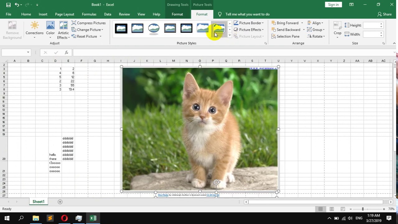 How to Insert a online picture in Microsoft Excel