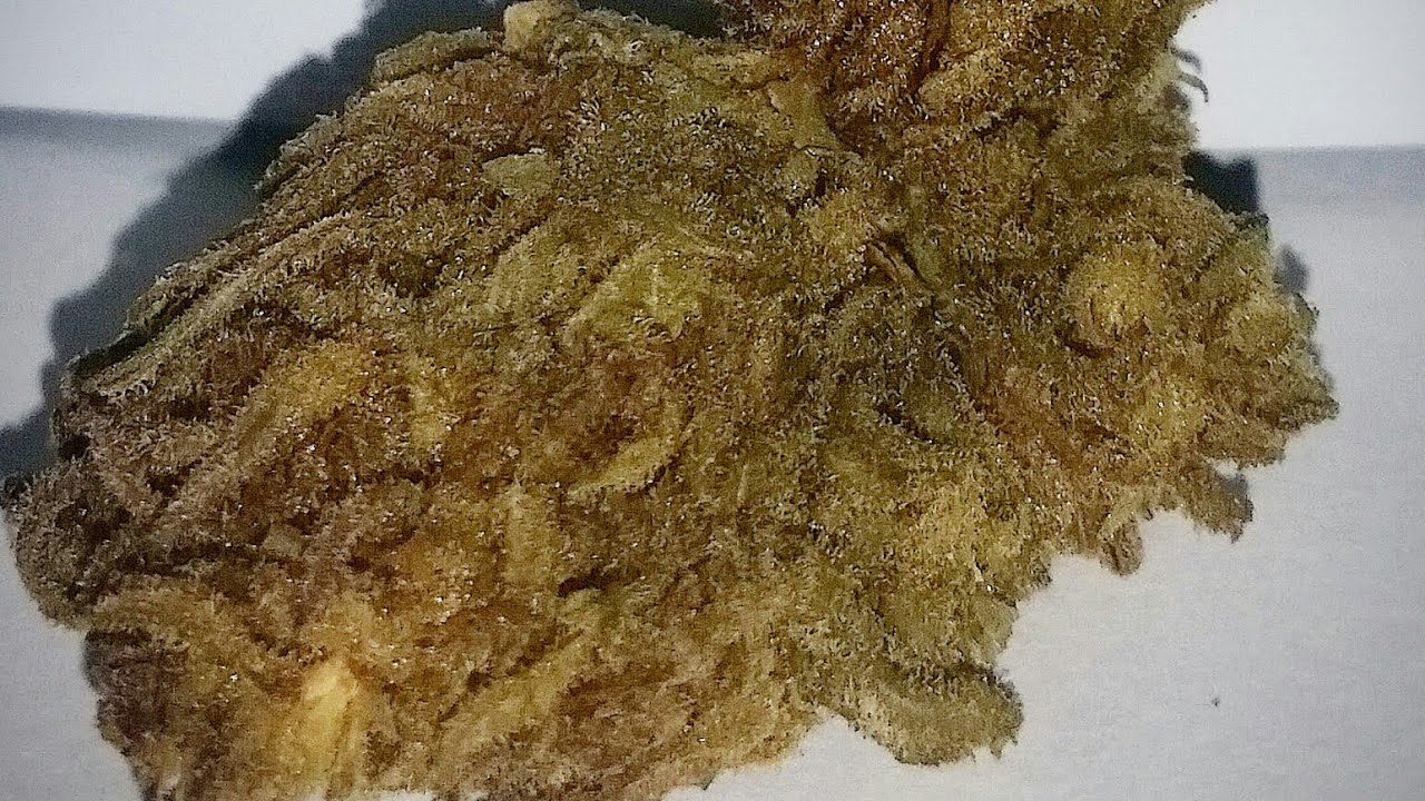 Lifter from Fern Valley Farms
