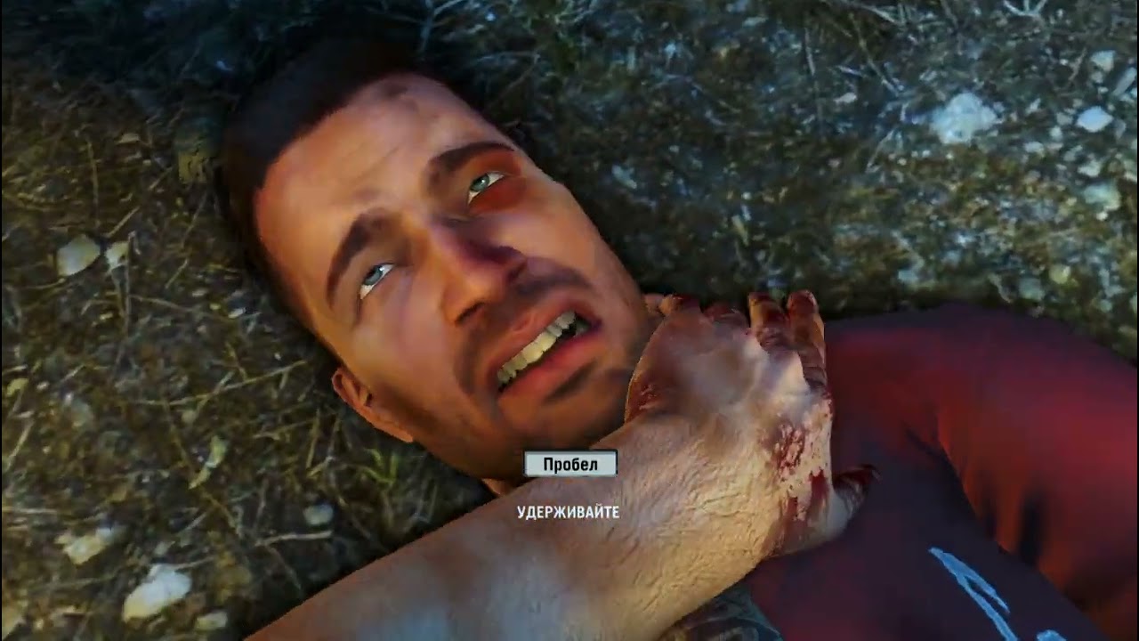Far Cry&reg; 3 Trim  начало