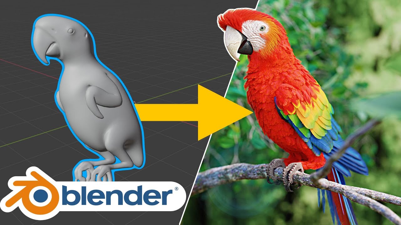 Урок по созданию перьев попугая — как я создал перья для своей работы | Blender 2.91
