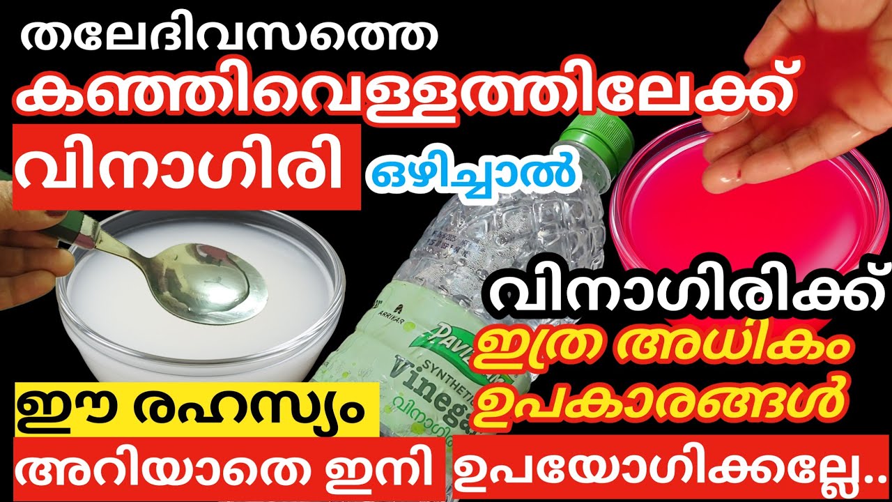 ഇതറിഞ്ഞാൽ ഉടനെ പോയി ഒരു കുപ്പി വിനാഗിരി വാങ്ങും |Rice water And Vinegar Tips