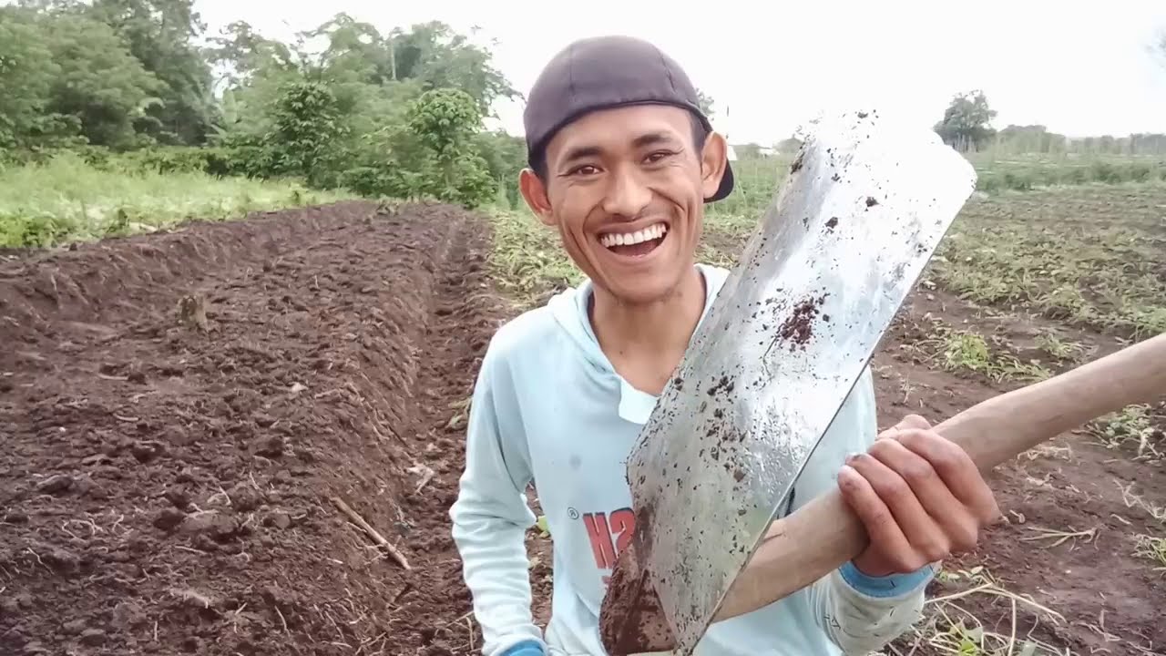 Cara Membuat Bedengan Mudah Dan Cepat