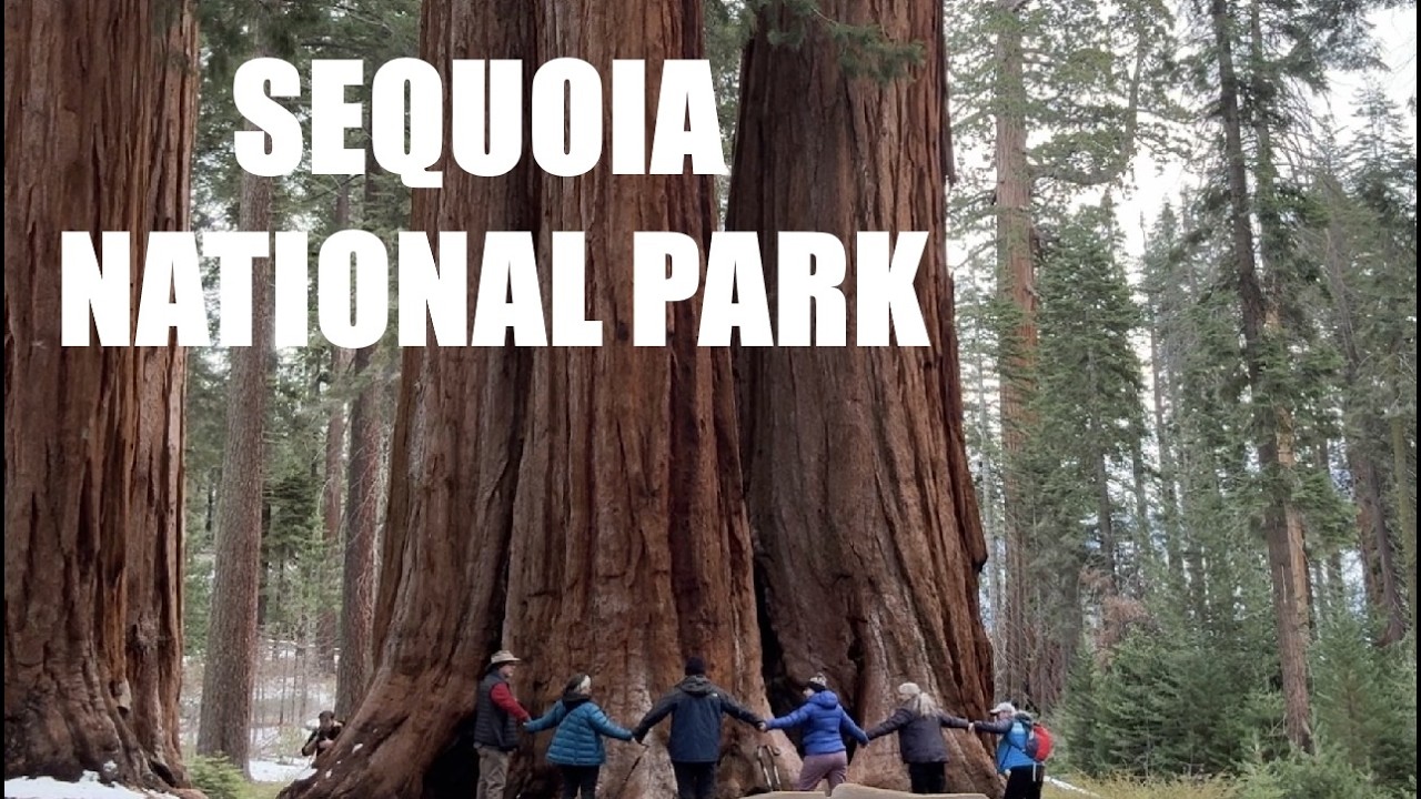 Exploring Sequoia National Park: General Sherman, Moro Rock, Tunnel Log | California Road Trip