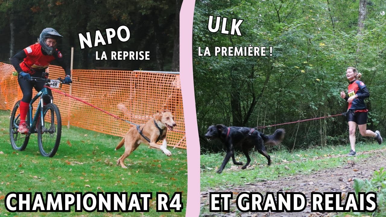 Championnat Régional 4 : Reprise du CaniVTT et premier canicross pour Ulk !