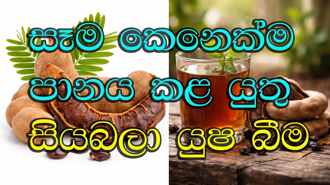 සෑම කෙනෙක්ම පානය කළ යුතු සියබලා යුෂ බීම