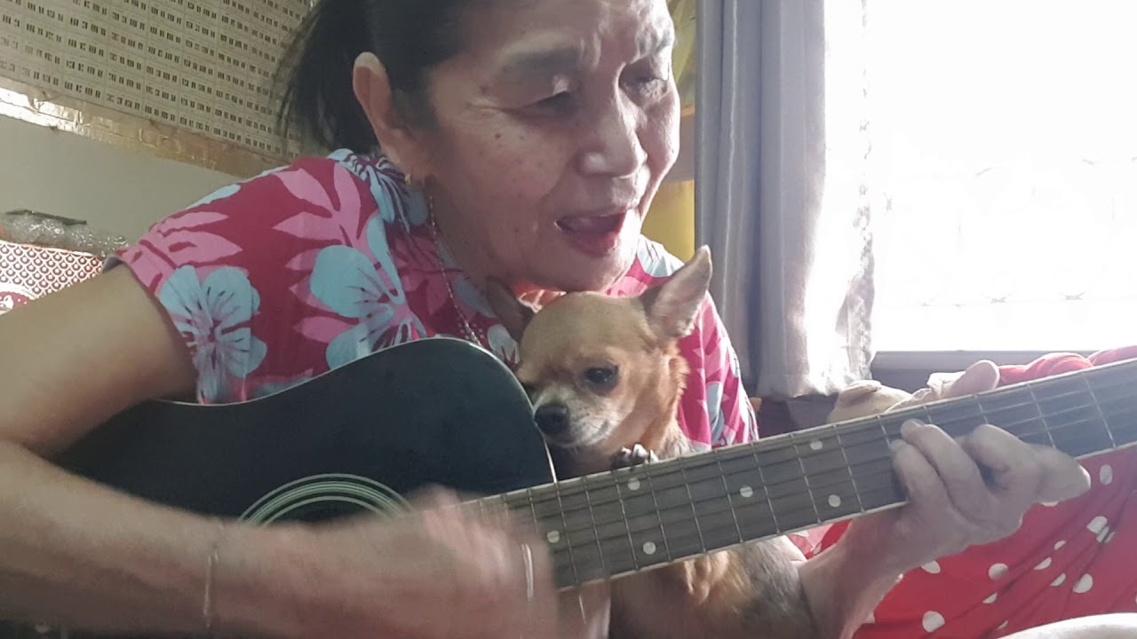 P.s.I love you ( someone requests this song)...👵Cover by Malinda...👵