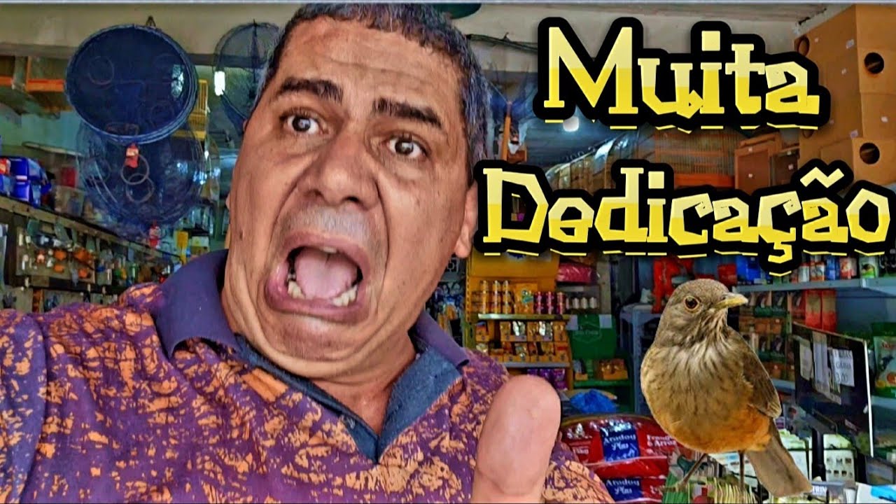 QUAL A MELHOR RAÇÃO PARA SABIÁ ?