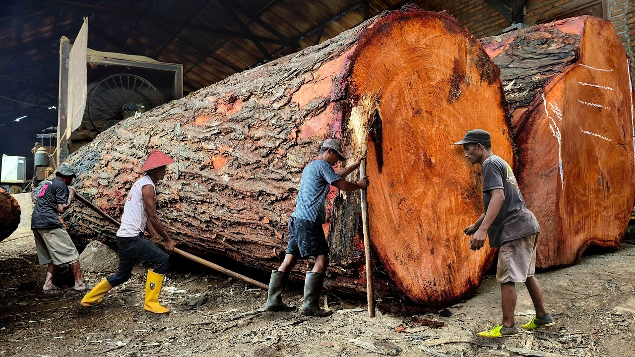 Splitting Wood into Art at Sydney Sawmill
