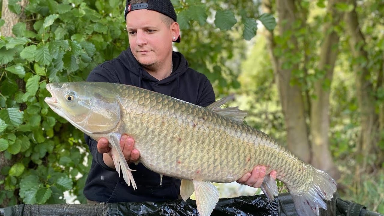 48H de pêche à la CARPE  en GRAVIÈRE