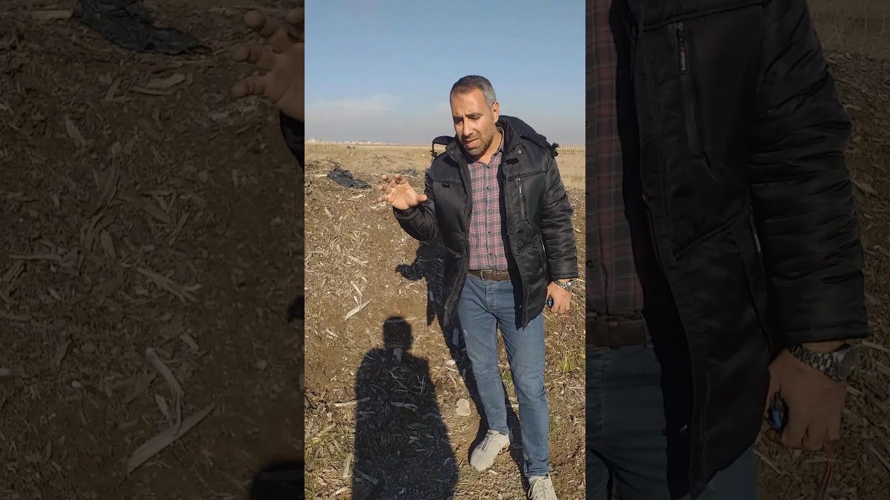 کود دهی زمستانه و اصلاح خاکهای آهکی و رسی در باغات انگور