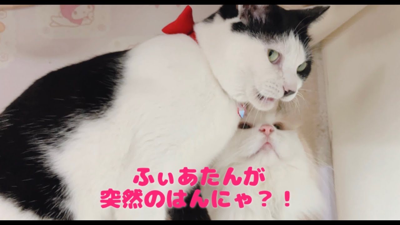 終わりよければすべてよし。