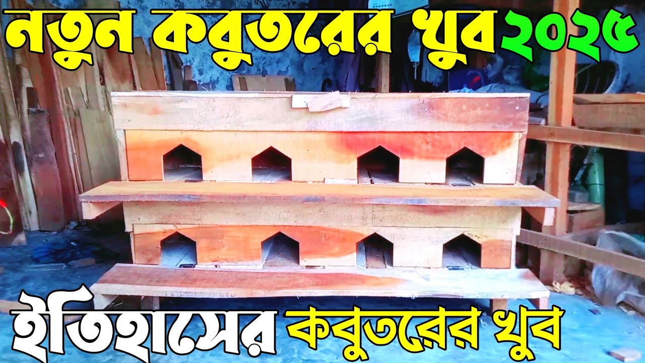 নতুন কবুতরের খুব ইতিহাসের সেরা খুব দরগাহ বাজার থেকে 