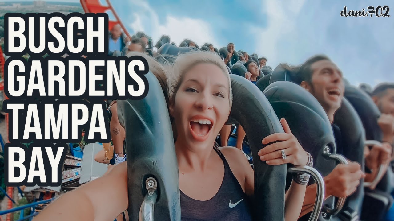 Busch Gardens Tampa | Roller Coasters POV & Our First Visit | SheiKra, Tigris, Kumba, Falcon's Fury