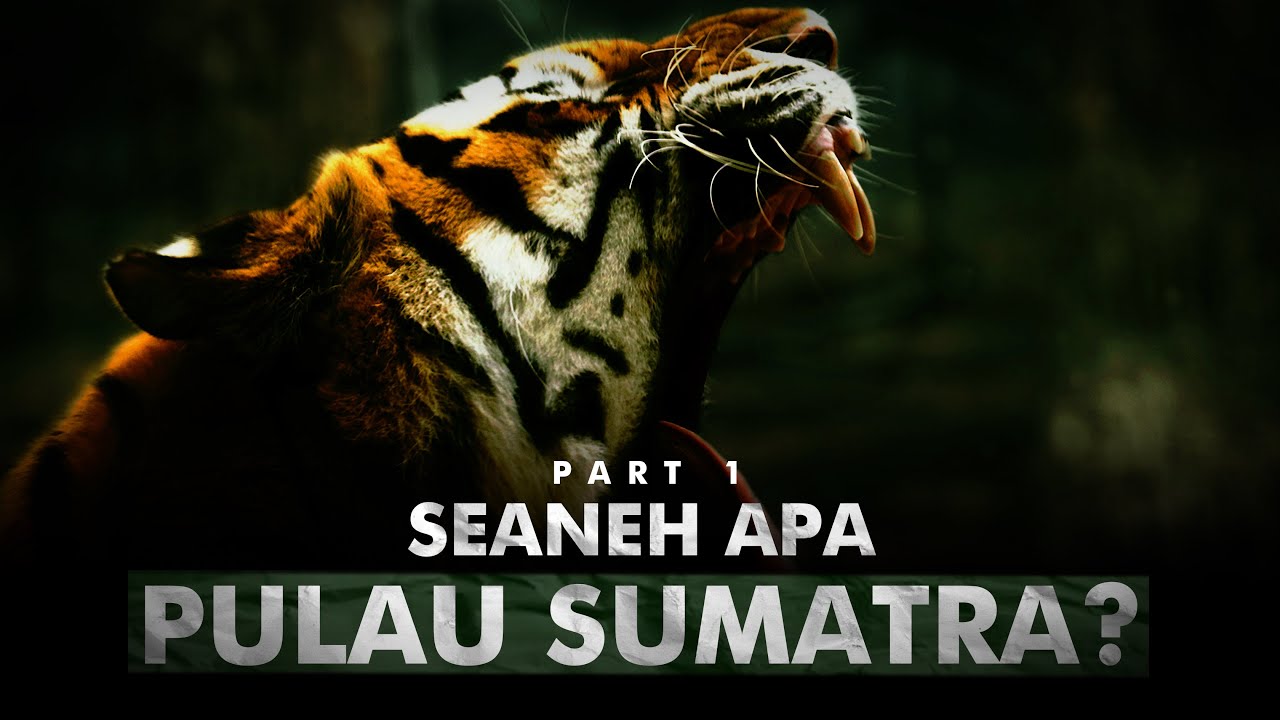 Harta Karun Megafauna Dari Indonesia | Pulau Sumatra - Part 1