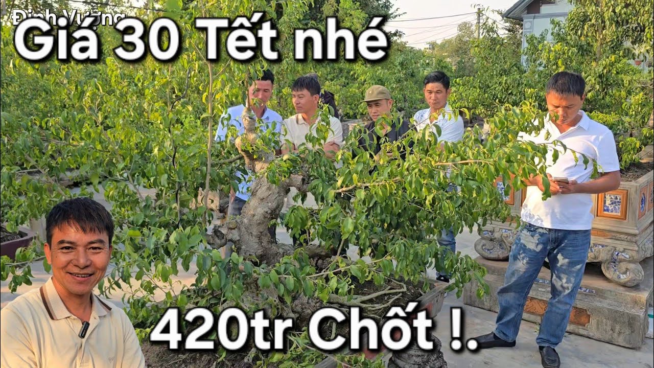 Mọi người vây kín để xem cây 420tr của anh Trọng 🐍 có gì đặc biệt 