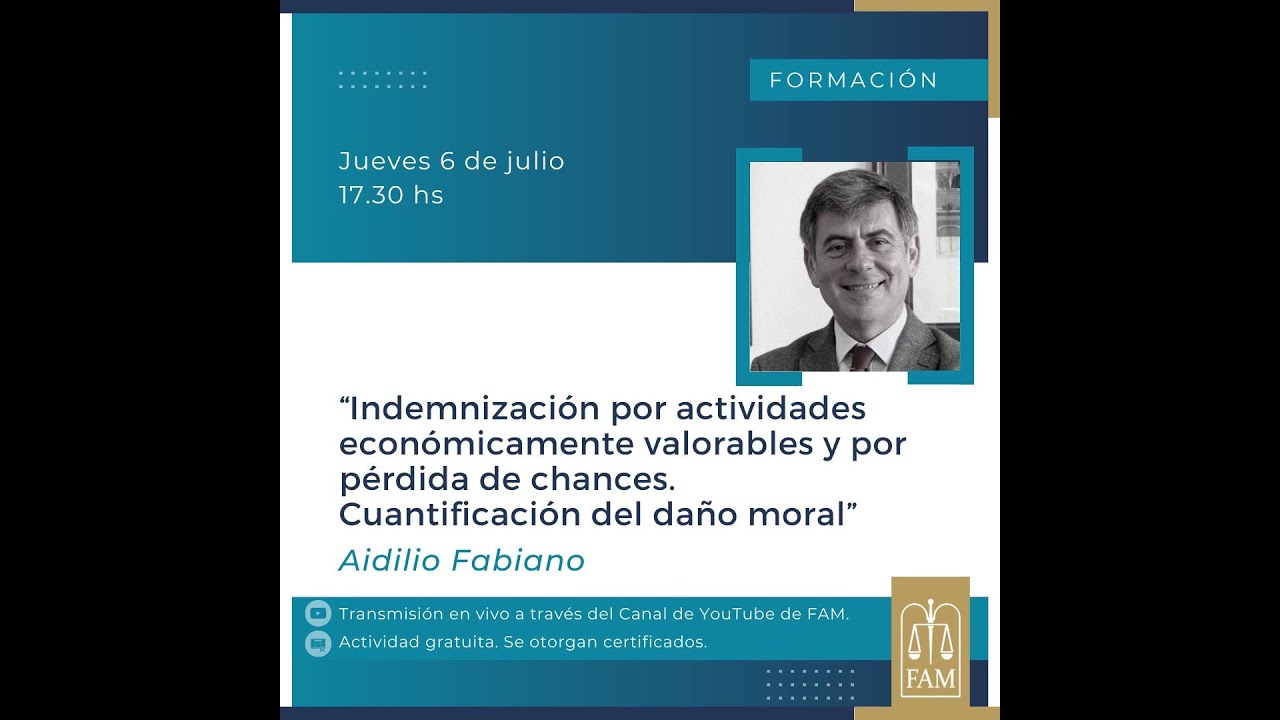 Indemnización por actividades económicamente valorables .Cuantificación del daño moral.