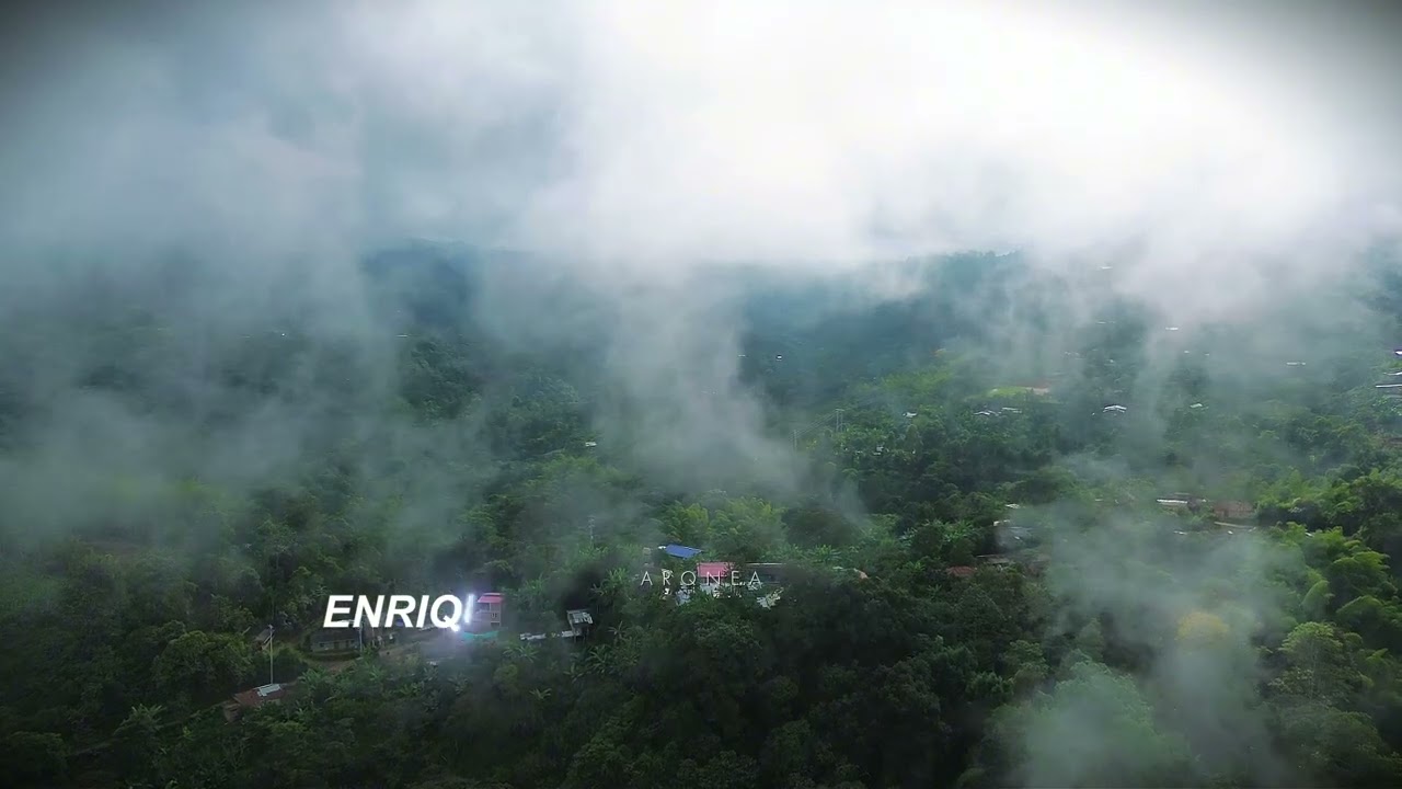Cauca