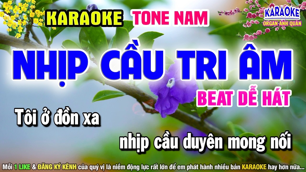 KARAOKE TONE NAM ĐẶC BIỆT - Nhịp Cầu Tri Âm Karaoke CHẤT LƯỢNG CAO - Organ Anh Quân