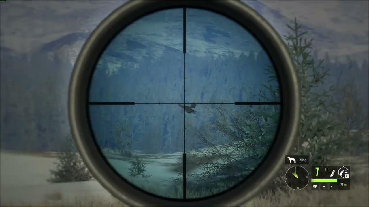Bird Snipin