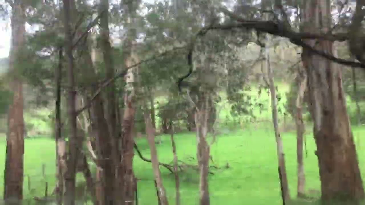 Discover the Hidden World of Country