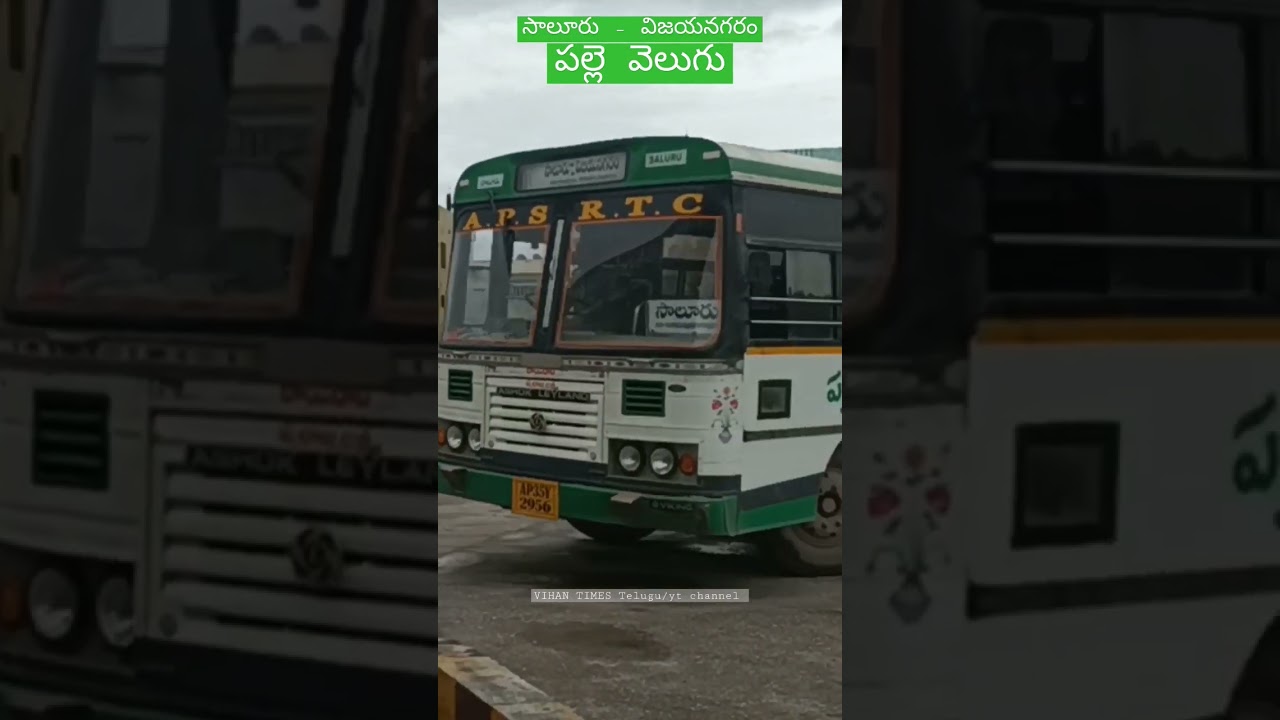 Apsrtc saluru to vijayanagaram palle velugu bus # short