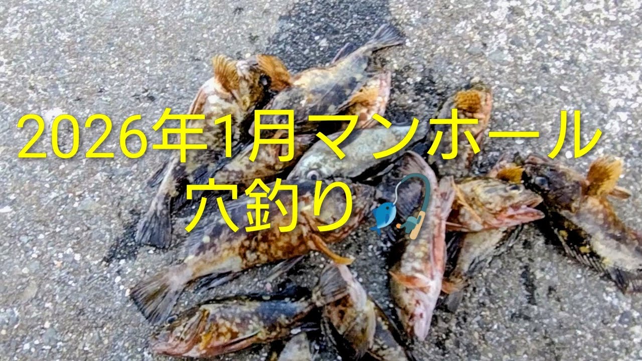 最強居座り寒波が緩んだタイミングで釣りに行く🎣