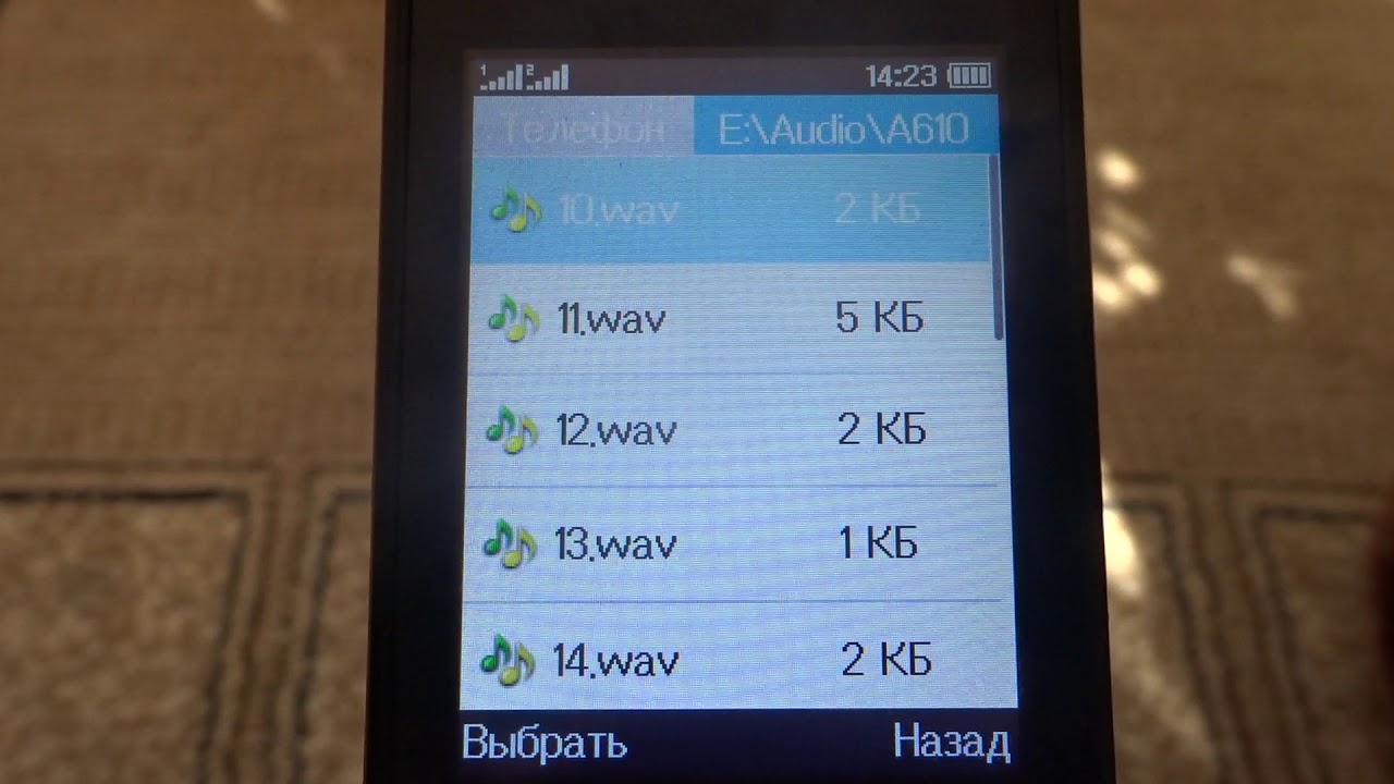 Samsung SCH-A610 ringtones on Alcatel 2053D