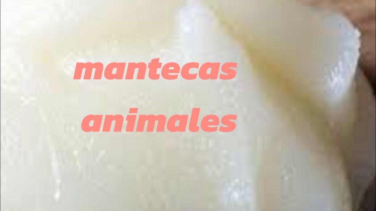 Vamos a desodorizar y limpiar mantecas animales