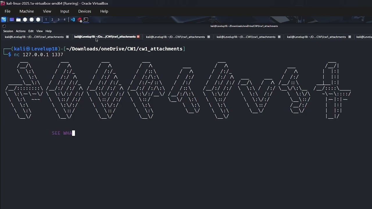 CW 1 exploit