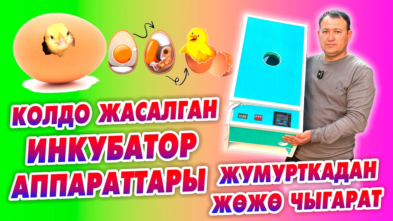 ИНКУБАТОР аппараттары сатылат! САПАТТУУ, арзан. Бузулса РЕМОНТУН да жасап берет.