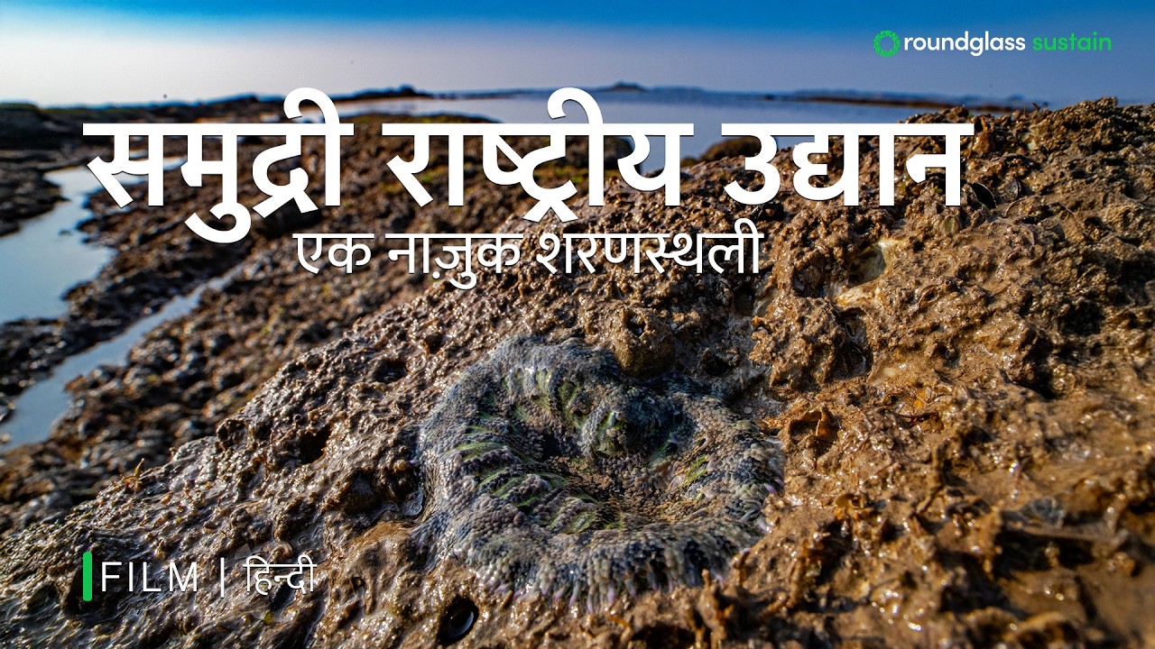 समुद्री राष्ट्रीय उद्यान एक नाज़ुक शरणस्थली | Climate Resilient Coral Reefs| @RoundglassSustain