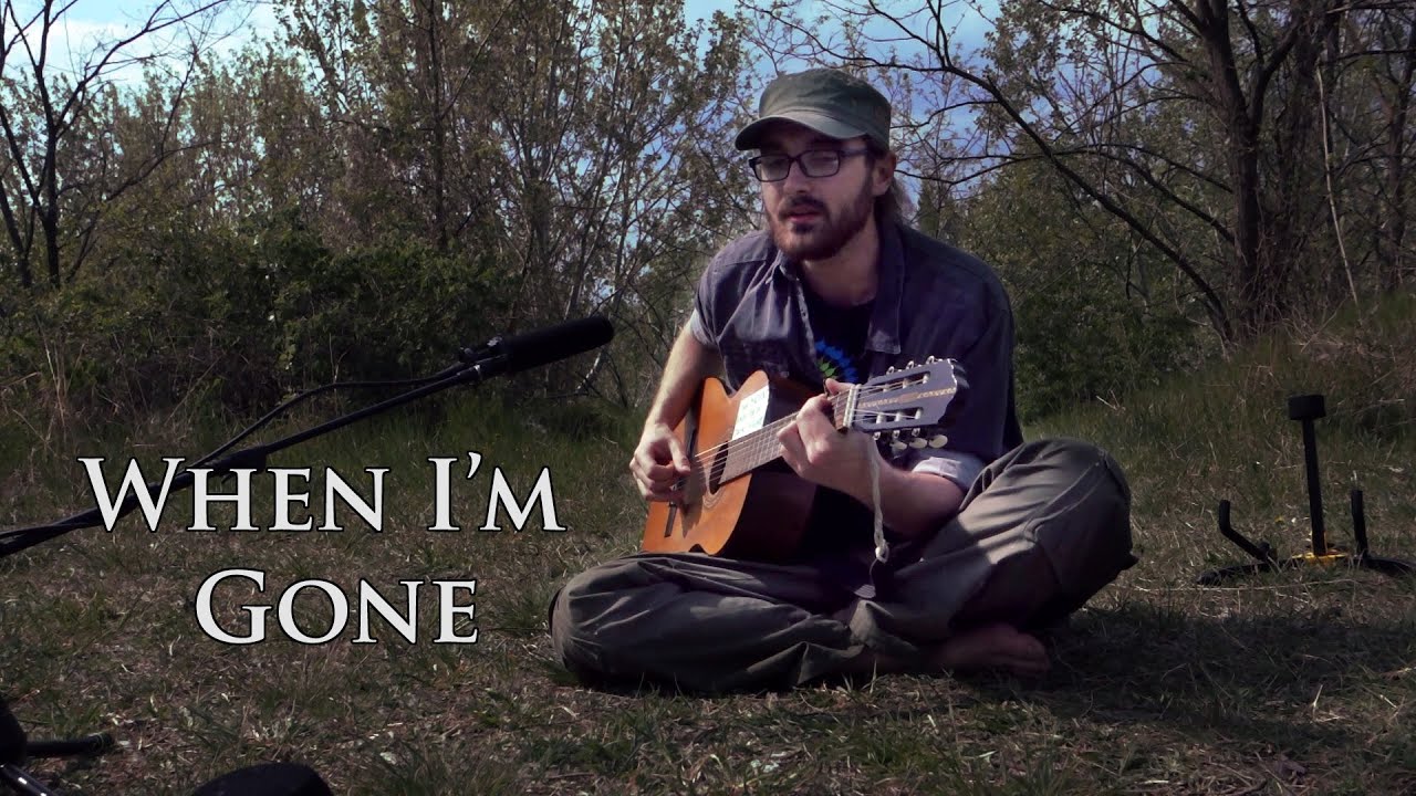 When I'm Gone (Phil Ochs) - Mark Wiesinger