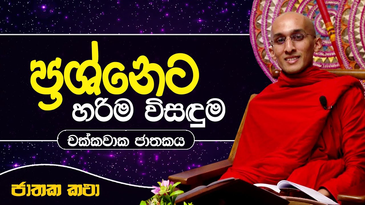 80) "ප්‍රශ්නෙට" හරිම විසඳුම | චක්කවාක ජාතකය | Jathaka Katha