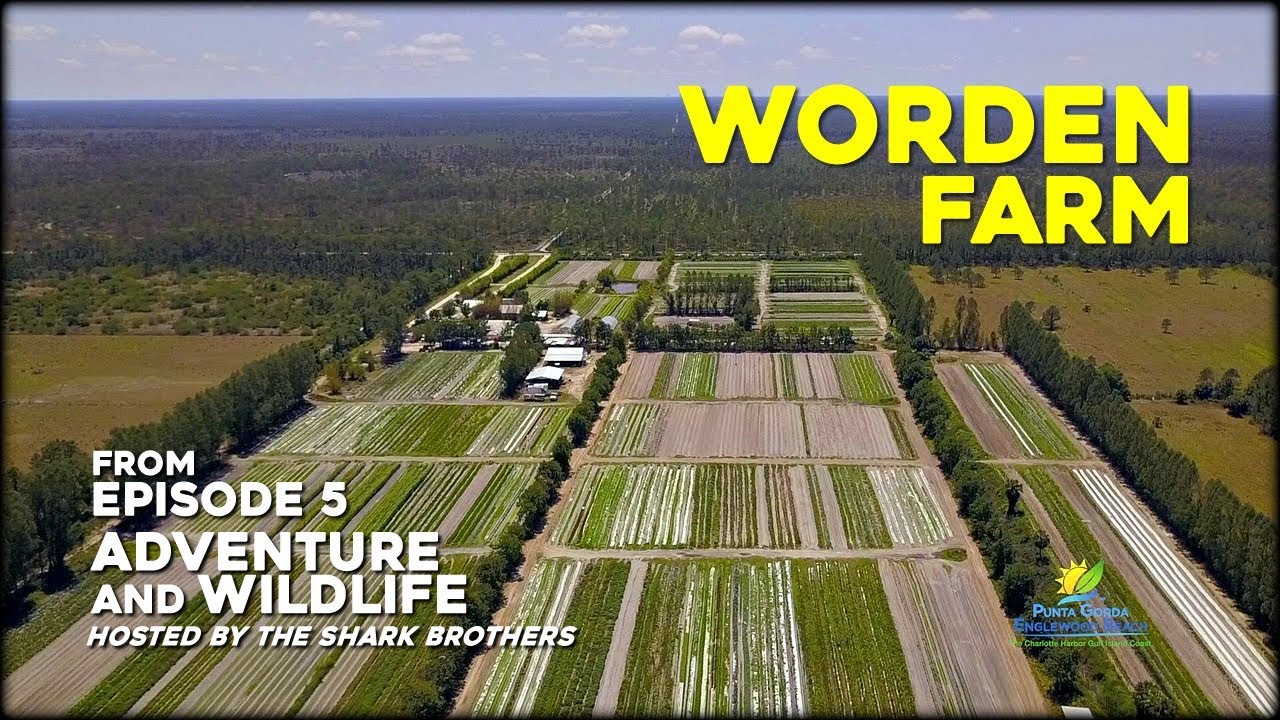 Adventure and Wildlife - Episode 5: Worden Farm - Shark Brothers Multimedia