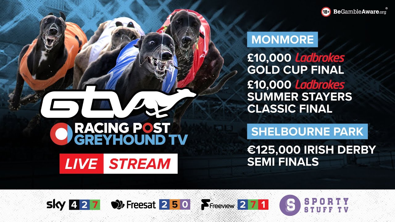 Irish Derby Semi-Finals & Ladbrokes Gold Cup/Summer Stayers Classic Finals  | Live Greyhound Racing