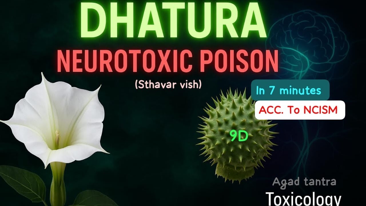 📚 Dhatura in Toxicology/ Agadtantra