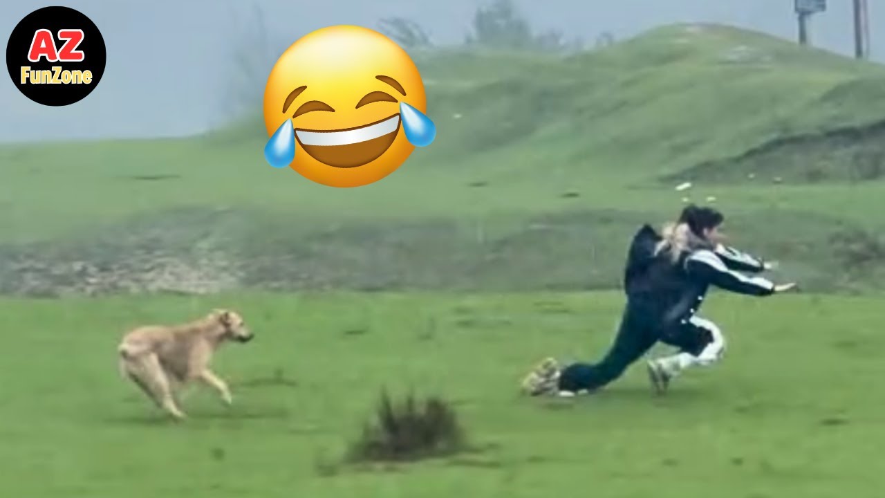 Best Funny Videos Of The Year - Fails & Hilarious Moments 😂🤣 Try Not To Laugh #20