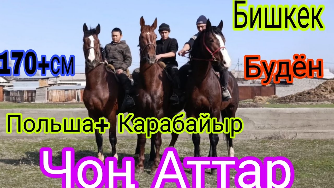 9- Март Нургазы Акеден чыкты