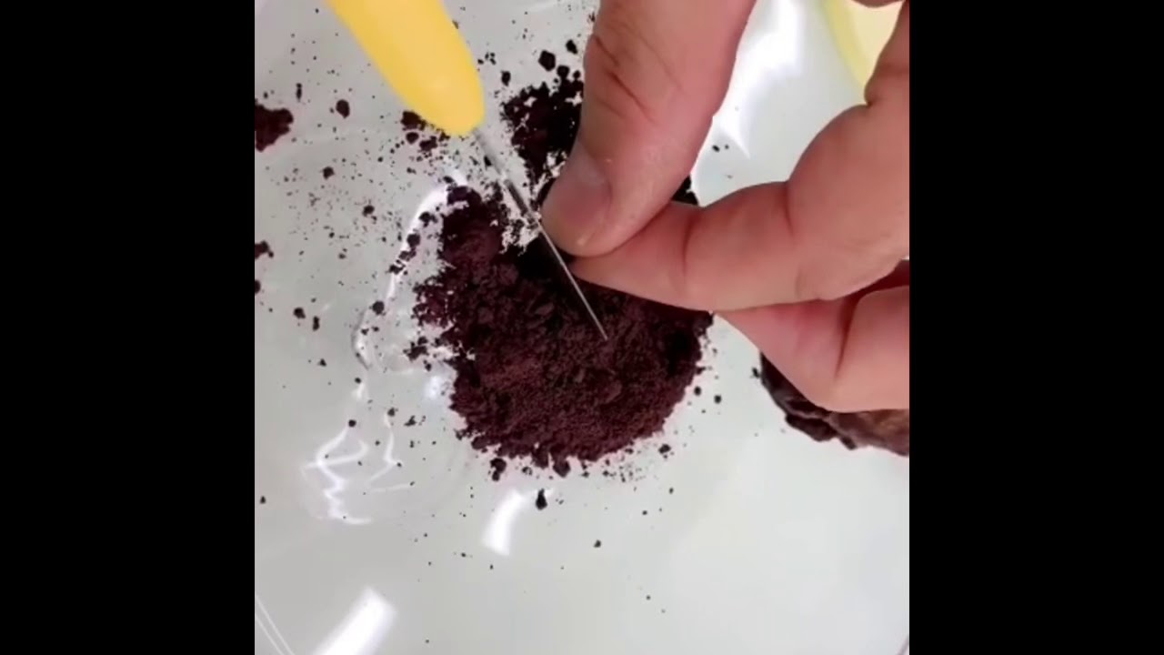 طريقة أستخلاص مسك الغزال وعنبرة الحوت مع سكة الطيب