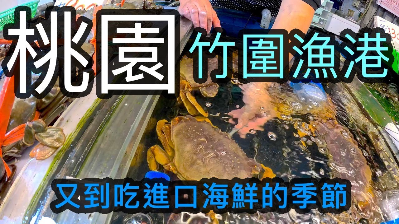 加拿大黃金蟹一斤680元 普發現金後的第一個禮拜天 竹圍漁港觀光漁市竟然滿滿都是人【跟著藝術家來放風】152 中文字幕 #seafood #螃蟹 #漁港 #龍蝦 #桃園