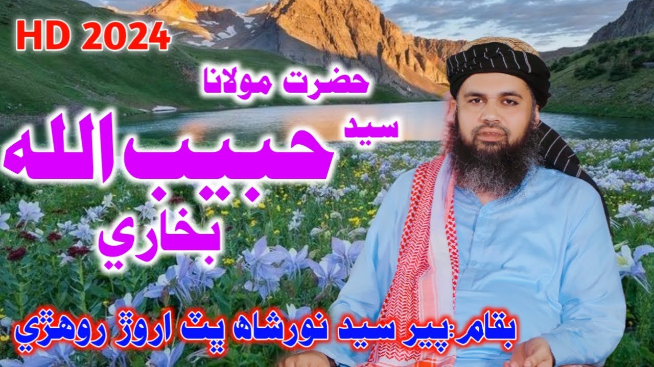 Molana Syed Habibullah Shah Bukhari Noor Shah Bhit Rohri 2024 Pervez Palh Official